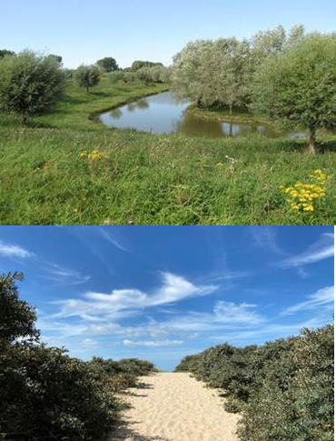 RANDONN&Eacute;E ENTRE CIEL ET MER 